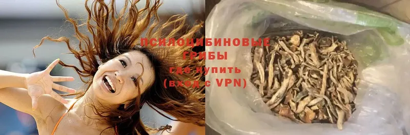 Галлюциногенные грибы Cubensis  купить закладку  Апатиты 